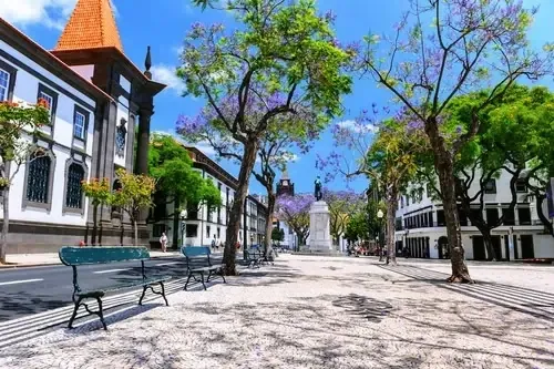 Kopfsteinpflastergasse in der Altstadt von Funchal