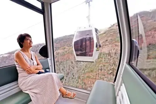 Kabinen der Seilbahn zum Botanischen Garten über dem Tal