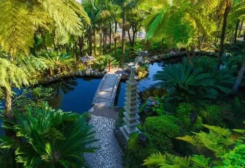 Teich und tropische Pflanzen im Monte Palace Tropical Garden