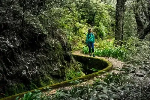 Wanderer auf einem Levada-Weg auf Madeira