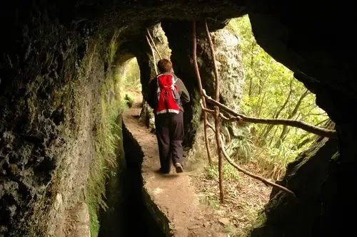 Wandergruppe auf einem Levada-Pfad
