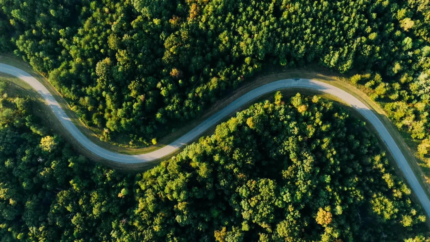 Kurvige Straße durch bewaldete Hänge auf Madeira aus der Luft