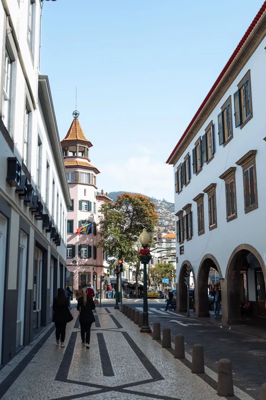 Straße mit Pflastermosaik und alten Häusern in Funchal