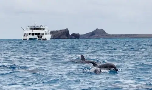 Katamaran mit Gästen auf dem Atlantik vor Madeira
