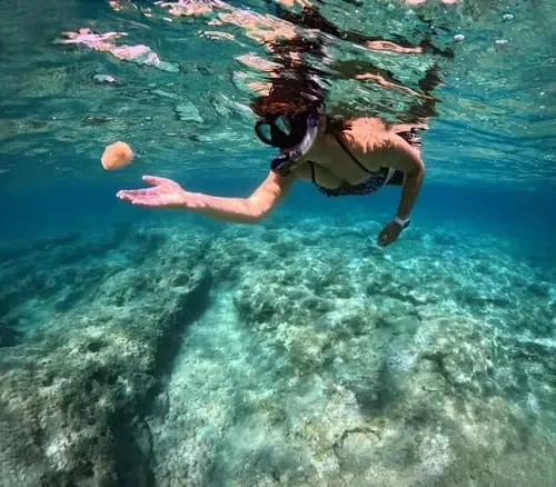 Frau schnorchelt im klaren Wasser vor Madeira