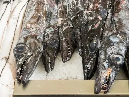 Schwarzer Degenfisch auf dem Fischmarkt