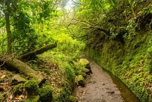 Levada-Weg zum Caldeirão Verde mit Geländer am Hang