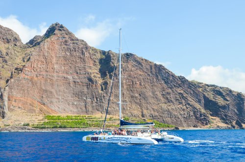 Walbeobachtungstour auf einem Katamaran, Madeira