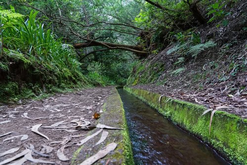 Wanderung Levada do Rei, Madeira